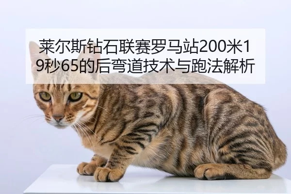 莱尔斯钻石联赛罗马站200米19秒65的后弯道技术与跑法解析