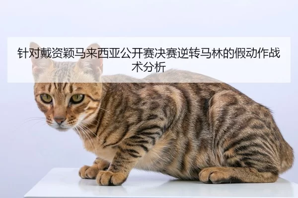 zhen-dui-dai-zi-ying-ma-lai-xi-ya-gong-kai-sai-jue-sai-ni-zhuan-ma-lin-de-jia-dong-zuo-zhan-shu-fen-xi-2-972.jpg